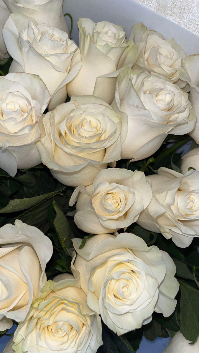 Cascade of Elegance Floral Array